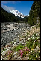 White River creek and Mt Rainier. Mount Rainier National Park, Washington, USA.