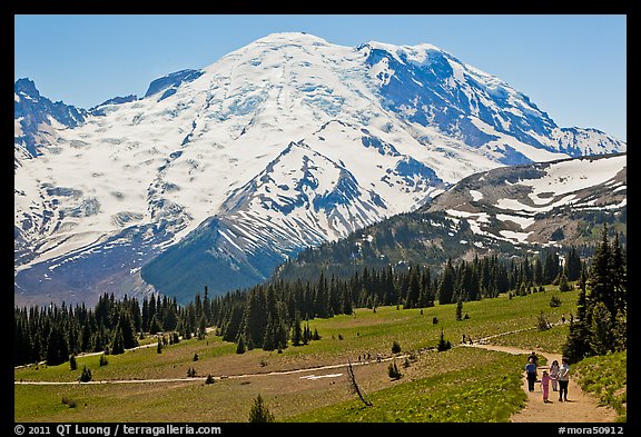 Sunrise area trails. Mount Rainier National Park, Washington, USA.