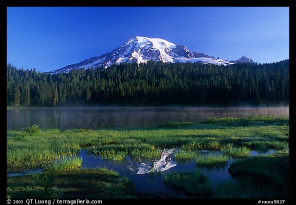 Reflection Lake and Mt Rainier, early morning. Mount Rainier National Park (color)