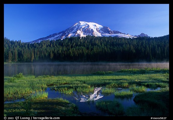 Reflection Lake and Mt Rainier, early morning. Mount Rainier National Park, Washington, USA.