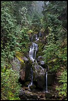 Multi-tiered waterfall in old-growth forest. Mount Rainier National Park, Washington, USA.