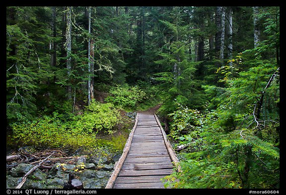 Bridge over Chinook Creek. Mount Rainier National Park (color)