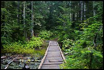 Bridge over Chinook Creek. Mount Rainier National Park, Washington, USA.