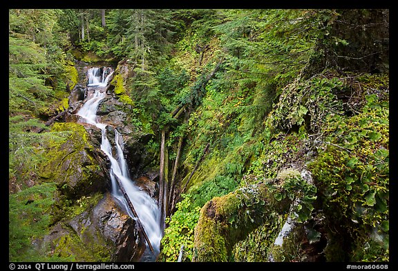 Multi-tiered Deer Creek Falls dropping in forest. Mount Rainier National Park, Washington, USA.