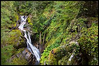 Multi-tiered Deer Creek Falls dropping in forest. Mount Rainier National Park, Washington, USA.