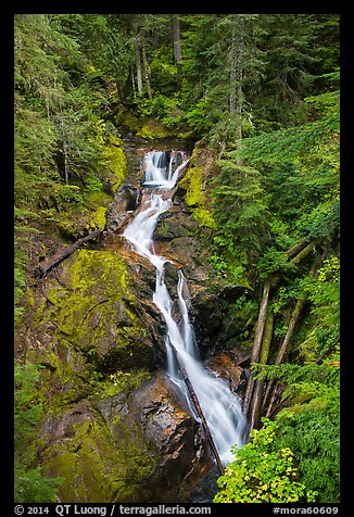 Deer Creek Falls. Mount Rainier National Park (color)
