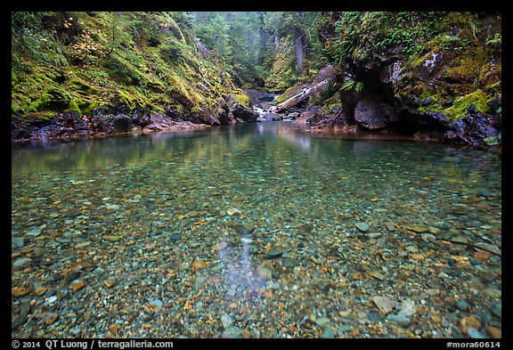 Pebbles in the bed of Panther Creek. Mount Rainier National Park (color)