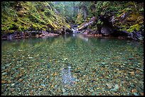 Pebbles in the bed of Panther Creek. Mount Rainier National Park ( color)