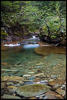 Water flowing in Panther Creek. Mount Rainier National Park ( color)