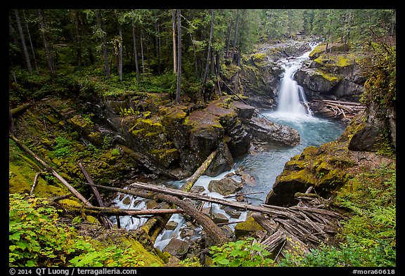 Silver Falls of the Ohanapecosh River. Mount Rainier National Park (color)