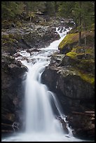 Silver Falls. Mount Rainier National Park, Washington, USA.