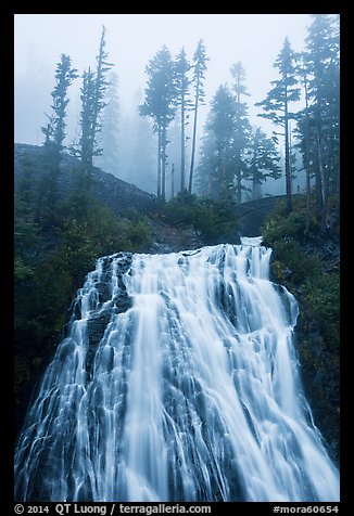 Narada Falls and trees in fog. Mount Rainier National Park (color)