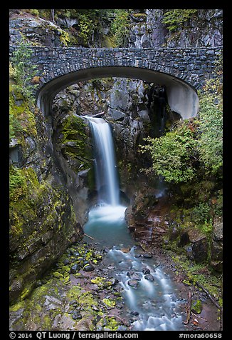 Bridge framing Christine Falls. Mount Rainier National Park (color)