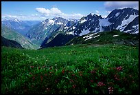 Stehekin Valley seen from Sahale Arm, North Cascades National Park. Washington, USA.