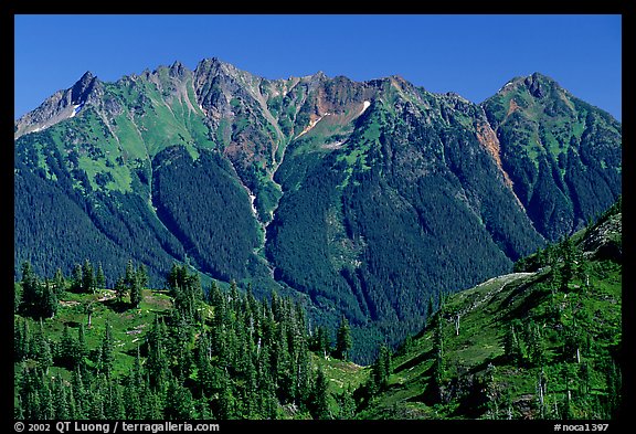 Steep forested peaks, North Cascades National Park. Washington, USA.