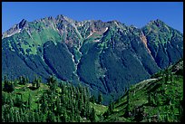 Steep forested peaks, North Cascades National Park. Washington, USA.