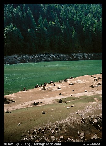 Tree stumps and river. North Cascades National Park (color)
