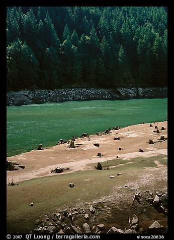 Tree stumps and river, North Cascades National Park Service Complex. Washington, USA.