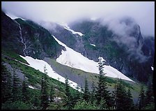 Cascades and snowfields, below Cascade Pass, North Cascades National Park. Washington, USA. (color)