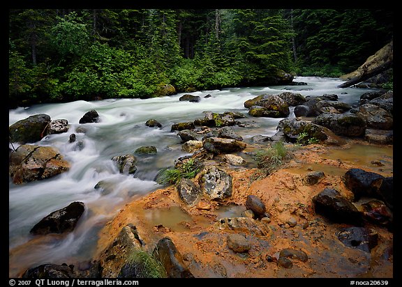 Creek near Kennedy hot springs, Glacier Peak Wilderness, Mt. Baker/Snoqualmie National forest. Washington (color)