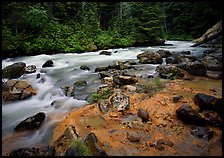 Creek near Kennedy hot springs. North Cascades National Park ( color)