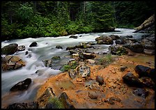 Creek near Kennedy hot springs, Glacier Peak Wilderness, Mt. Baker/Snoqualmie National forest. Washington (color)