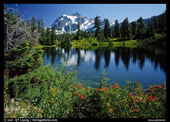 Mount Shuksan and Picture lake, mid-day,  North Cascades National Park.  (color)
