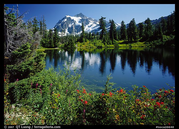 Mount Shuksan and Picture lake, mid-day,  North Cascades National Park. Washington, USA.