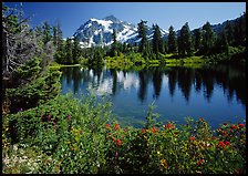 Mount Shuksan and Picture lake, mid-day,  North Cascades National Park. Washington, USA.