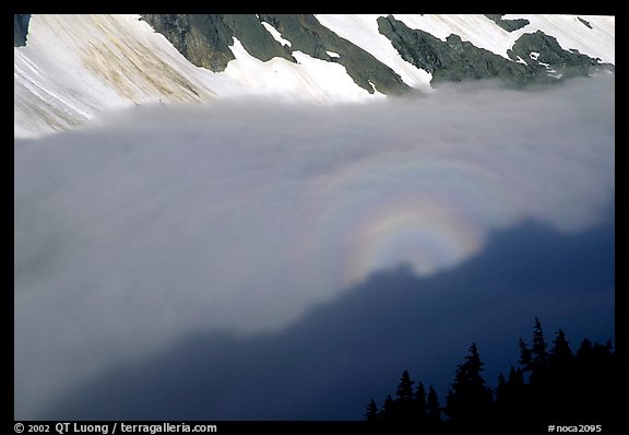 Sun projected on clouds filling Cascade River Valley,. Washington, USA.