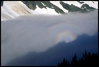 Sun projected on clouds filling Cascade River Valley,. Washington, USA. (color)