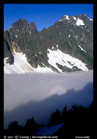 Peaks above fog-filled Cascade River Valley, early morning, North Cascades National Park. Washington, USA.