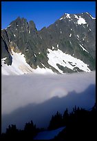 Peaks above fog-filled Cascade River Valley, early morning, North Cascades National Park. Washington, USA. (color)