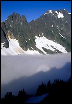 Peaks above fog-filled Cascade River Valley, early morning, North Cascades National Park. Washington, USA.