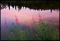 Reflections in Picture lake, sunset,  North Cascades National Park. Washington, USA. (color)