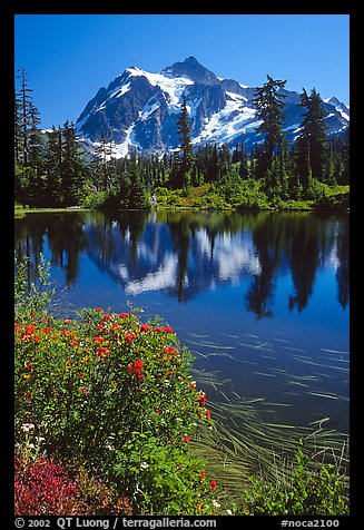 Mount Shuksan and Picture lake, mid-day, North Cascades National Park. Washington, USA.