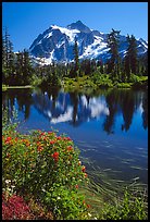 Mount Shuksan and Picture lake, mid-day, North Cascades National Park. Washington, USA.