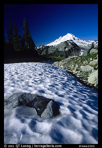 Neve and Mount Baker in the distance. Washington (color)