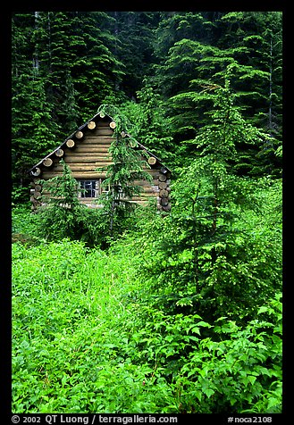 Log cabin, Mt. Baker/Snoqualmie National forest. Washington (color)