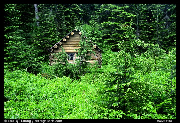 Log cabin, Glacier Peak Wilderness. Washington (color)