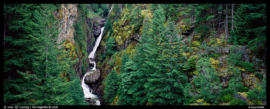 Waterfall in gorge surrounded by forest, North Cascades National Park Service Complex.  (color)