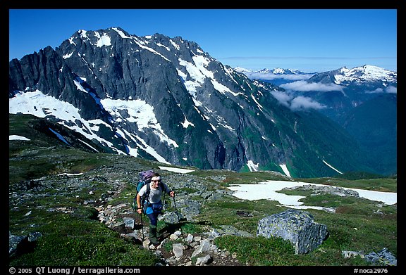 Mountaineer hiking on the way to Sahale Peak,  North Cascades National Park. Washington, USA.