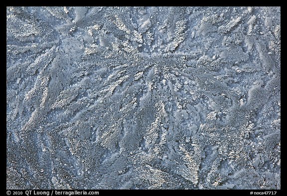 Hoar frost close-up, North Cascades National Park.  (color)