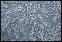 Hoar frost close-up, North Cascades National Park. Washington, USA.