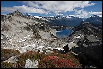 Berry plants in fall color above Hidden Lake, North Cascades National Park. Washington, USA. (color)