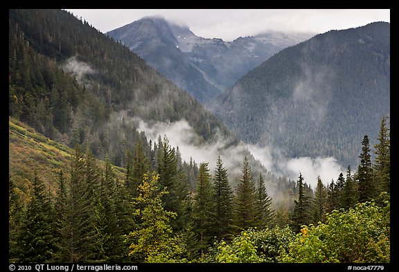 North Fork of the Cascade River Valley, North Cascades National Park.  (color)