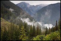 North Fork of the Cascade River Valley, North Cascades National Park. Washington, USA.