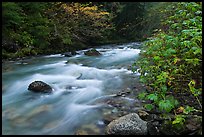 North Fork of the Cascade River in autumn, North Cascades National Park. Washington, USA.