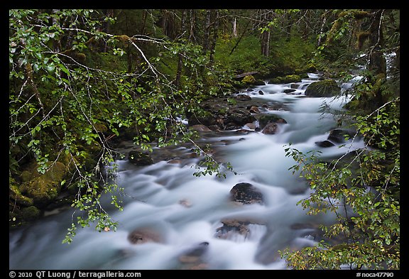 North Fork of the Cascade River from above, North Cascades National Park.  (color)