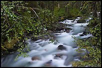 North Fork of the Cascade River from above, North Cascades National Park.  ( color)